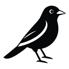 Solid color Western Tanager animal vector design