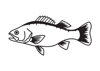 Black Bass Fish Silhouette in Vector Style with Detailed Fins and Streamlined Profile.