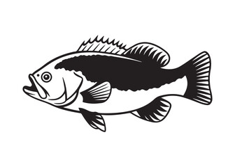 Side View Silhouette of Bass Fish with Bold Spines and Streamlined Body Vector Art.