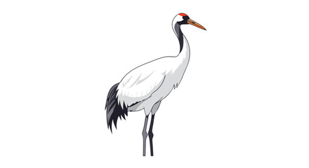 Obraz premium Elegant red-crowned crane vector illustration against clean white backdrop for graphic design needs
