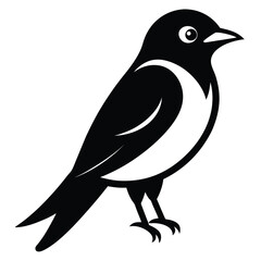 Solid color Western Kingbird animal vector design