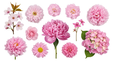 Pink Flower Arrangement: Peony, Hydrangea, Cherry Blossom