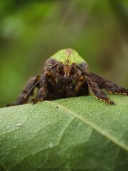 a woman is cupping her hands under her chin