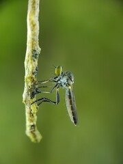 a woman is cupping her hands under her chin
