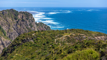 Spectacular coastal cliffs plunging into the Pacific Ocean along lush Mercer Bay Loop Track, near Piha Beach, Waitākere Ranges, west coast, North Island, New Zealand