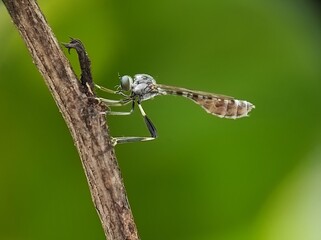 a woman is cupping her hands under her chin