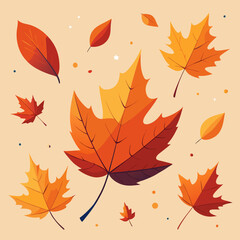 Fototapeta premium autumn leaves on white background