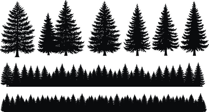 Silhouette of pine trees, evergreen forest landscape, nature scene at dusk, black and white tree line, minimalist woodland vector