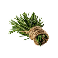 Fresh Rosemary Sprig Tied with Jute Twine - Culinary Herb Bundle