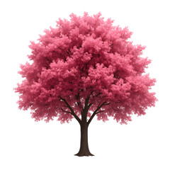 Obraz premium Pink tree blossoms nature spring beauty flower petals vibrant color isolated background