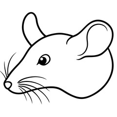 vector illustration of a white rat