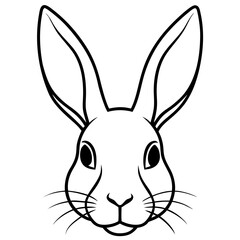 vector illustration of a rabbit