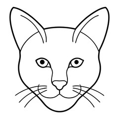 vector illustration of a cat