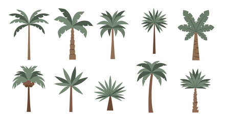 Collection of various stylized palm trees evoking tropical island paradise vibes with lush green foliage and tall woody trunks
