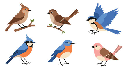 Fototapeta premium Collection of six small colorful feathered birds perched on thin branches illustration