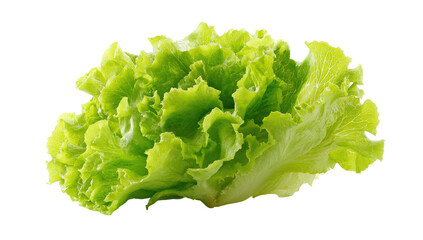 Close-up of a head of fresh, vibrant green lettuce
