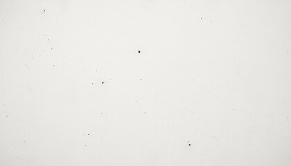 Clean, stark white background with subtle imperfections, creating a versatile and minimalist backdrop texture for designs