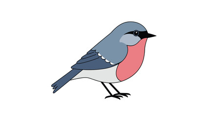 Obraz premium A charming little bird with a bright red breast and blue gray feathers standing on its legs