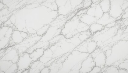Elegant white surface with subtle gray veining creating a refined and sophisticated texture for versatile design applications