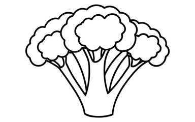 Broccoli florets on a white background vegetable food
