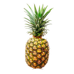Single pineapple, bright yellow-gold skin, vibrant green crown (1)