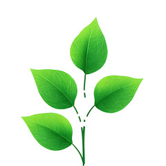 Fototapeta premium Vibrant green leaves on a thin stem