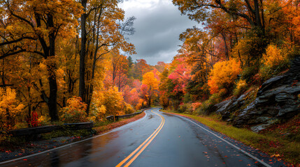 Obraz premium Discover the Breathtaking Beauty of an Autumn Foliage Drive: A Scenic Journey Through Vibrant Fall Colors