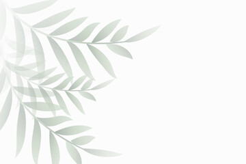 soft grey organic leaves background with text space