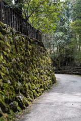 日本の苔むした石垣