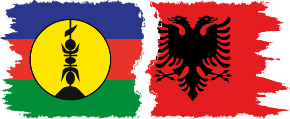 Albania and New Caledonia grunge flags connection, vector