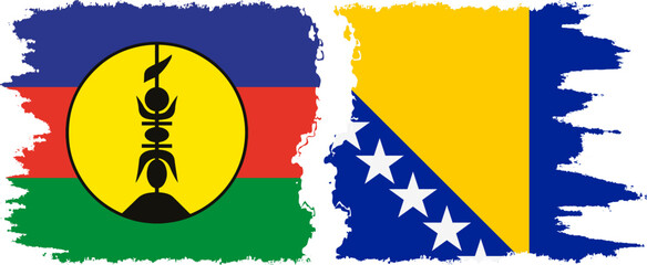 Bosnia and Herzegovina and New Caledonia grunge flags connection, vector