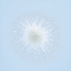 A sudden burst of white freezing a moment in midair.