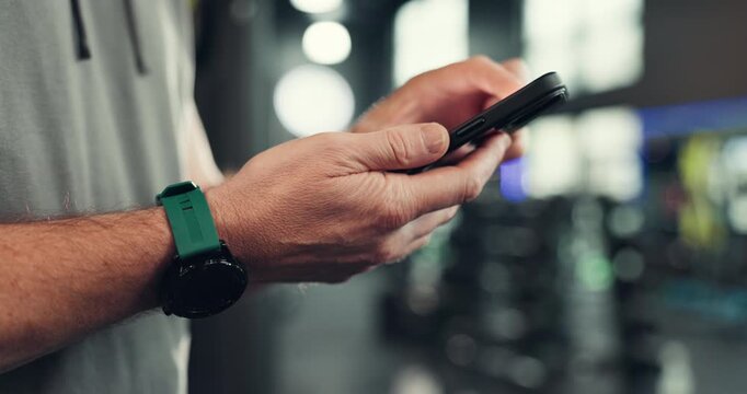 Phone, search and hands of man at gym for fitness app, workout schedule and communication. Networking, training guide and online exercise with person in sports club for connection, chat and web