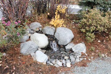 Obraz premium Small rock water feature surrounded by autumnal foliage