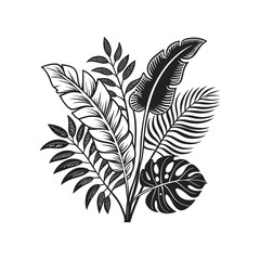 Tropical Leaves: The Beauty of Jungle Foliage

