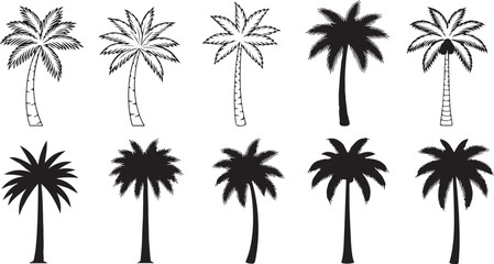 Assortment of Palm Tree Silhouettes and Line Art Illustrations tropical