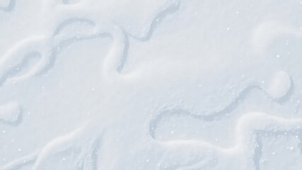 Untouched expanse of winter's embrace reveals a textured blanket of newly fallen snow, sculpted by wind and cold temperatures