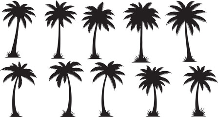 Obraz premium Collection of ten black silhouette palm trees with grassy bases on a white background