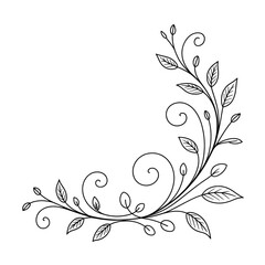 vector floral background