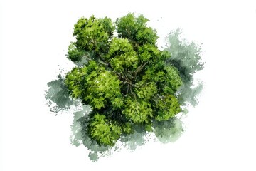 Obraz premium Top view watercolor illustration of a lush green tree on a white background, showcasing the organic shapes and vibrant colors of foliage