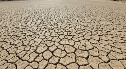 Cracked Dry Soil Surface in Arid Landscape Exposing Signs of Drought and Climate Change with Textured Patterns