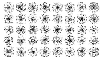Black and white floral illustrations