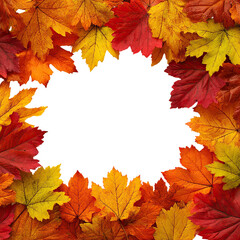 Autumn leaves frame.