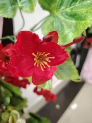 Close up view of artificial red blossoms with yellow stamens and vibrant green leaves creating a spring aesthetic