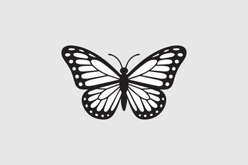 butterfly illustration vector