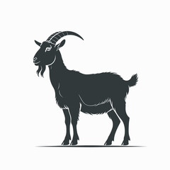 goat on white background
