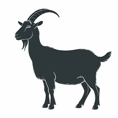 Fototapeta premium goat isolated on white