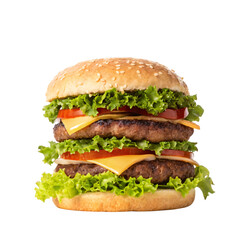 Double cheeseburger with lettuce, tomato and cheese.