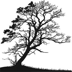 Fototapeta premium Hand-drawn black and white silhouette of a beautiful tree on a clean background.