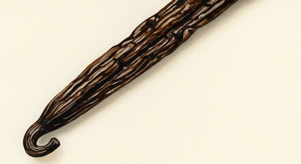 Detailed watercolor illustration of a single aromatic vanilla bean pod, a fragrant spice for baking and cooking, isolated on a light background.